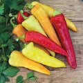 Sweet Banana Pepper Seeds - Premium Heirloom Variety - Versatile Culinary Use - Capsicum annuum
