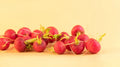 Lady Slipper Radish Seeds - 500+ Seeds for Garden Planting - USA Grown - Raphanus sativus