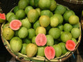 Pink Guava Seeds - 20 Pack - Psidium guajava - Tropical Fruit Seeds - Free Shipping