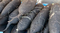 Long Black Spanish Radish Seeds - 500+ Count - Heirloom Vegetable Seeds - Raphanus sativus - Ideal for Garden Planting