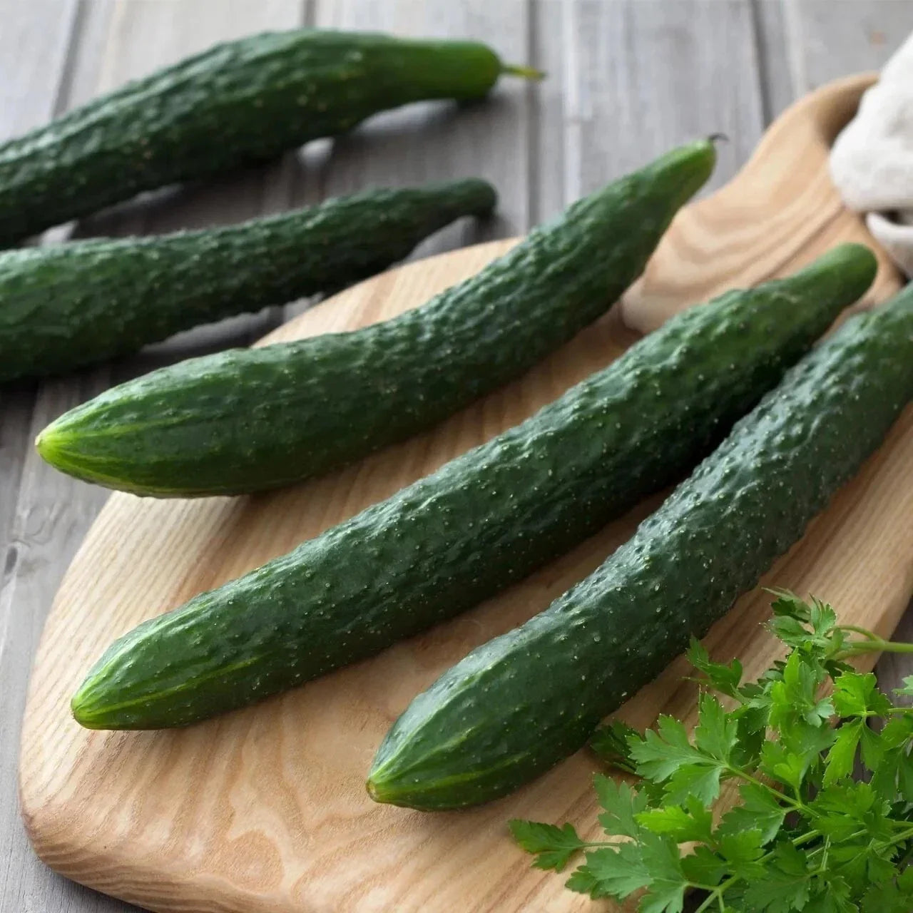 Suyo Long Cucumber Seeds - Heirloom Organic Non-GMO - Rare Variety - Cucumis sativus