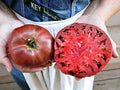 Cherokee Purple Tomato Seeds - Heirloom Non-GMO - 60+ Fresh Seeds - Solanum lycopersicum