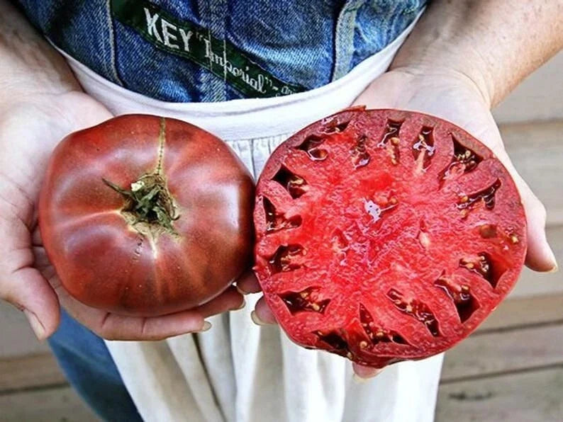 Cherokee Purple Tomato Seeds - Heirloom Non-GMO - 60+ Fresh Seeds - Solanum lycopersicum