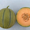 Melonade Cantaloupe Seeds for Planting, 10 Seeds, Sweet Variety, Cucumis melo