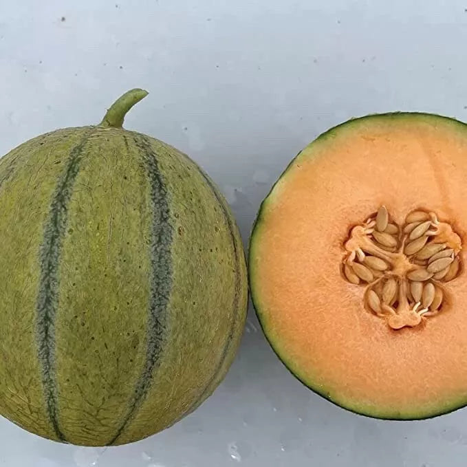 Melonade Cantaloupe Seeds for Planting, 10 Seeds, Sweet Variety, Cucumis melo