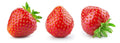 Everbearing Strawberry Seeds - 200+ Seeds - Red Fruit - Fragaria × ananassa