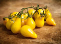 Yellow Pear Tomato Seeds - 10+ Heirloom, Non-GMO, Organic - Perfect for Home Gardening (Solanum lycopersicum)