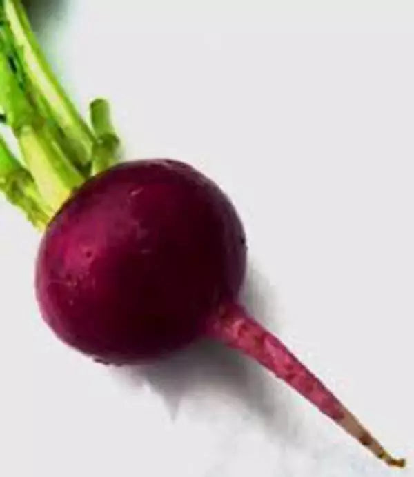 Beet Seeds - Early Wonder Heirloom Non-GMO - 100 Seeds - Beta vulgaris