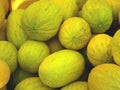 Crenshaw Melon Seeds 50+ Heirloom Cantaloupe NON-GMO USA - Fruit Seeds for Home Garden (Cucumis melo)