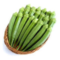 Perkins Long Pod Okra Seeds - Heirloom Non-GMO - 100+ Fresh Seeds - Abelmoschus esculentus