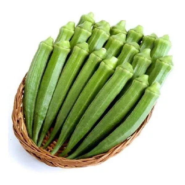 Perkins Long Pod Okra Seeds - Heirloom Non-GMO - 100+ Fresh Seeds - Abelmoschus esculentus