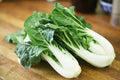 Pak Choi White Stem Cabbage Seeds - 200+ Heirloom NON-GMO - Fresh Chinese Vegetable Seeds - Brassica rapa