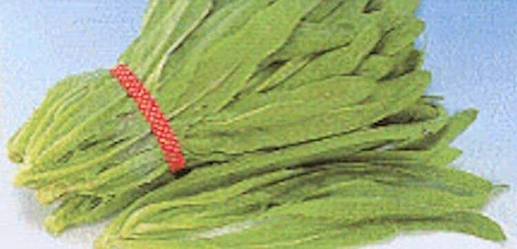 Sword Leaf Lettuce Seeds - Heirloom "A Choy" Variety, Non-GMO, Organic Gardening Seeds, Fast Shipping