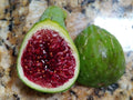 Fresh Fig Tree Cuttings - Select Variety - Easy Rooting - Davis Wildhorse