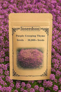Creeping Thyme Seeds - 30000+ Purple Ground Cover Perennial - Non-GMO Heirloom (Thymus serpyllum)