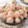 White Strawberry Seeds - 100+ Pineberry Hula Berry - Alpine Berry - Perfect for Container Garden - USA Grown