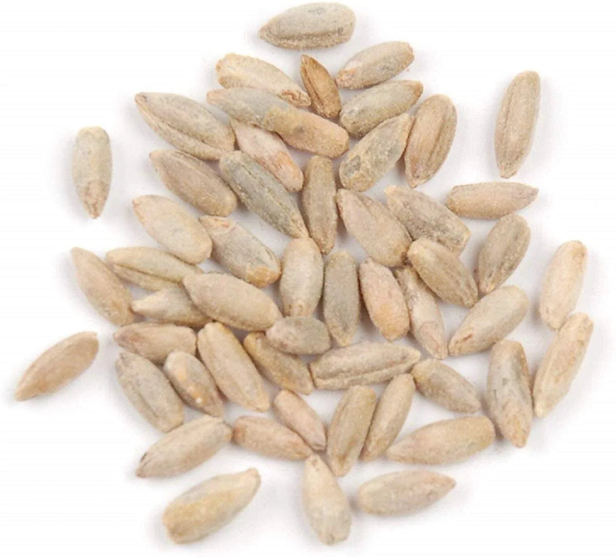 Rye Berries 8 OZ Bag | High in Fiber and Iron | Whole Grain Nutrition - Secale cereale