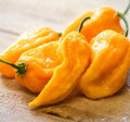 Fresh Sweet Yellow Habanero Pepper Seeds - 20 Premium Seeds - Capsicum chinense