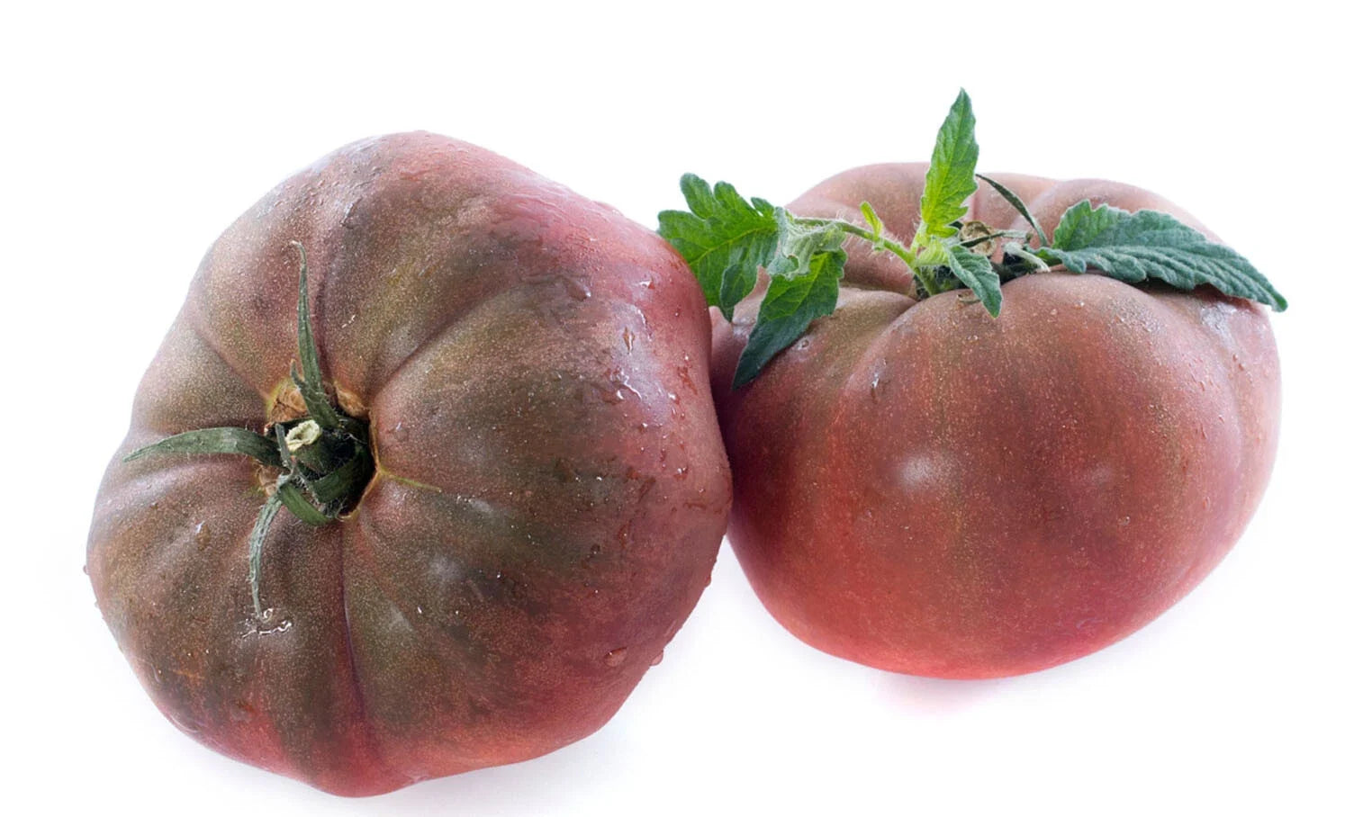 Organic Black Krim Tomato Seeds - 50+ Large Beefsteak Rare Russian Heirloom (Solanum lycopersicum)