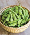 Be Sweet Japanese Edamame Soy Bean Seeds - 15+ Seeds | Glycine max | USA Asian Vegetable