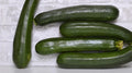 Dunja Zucchini Squash Seeds - 25+ Pack for Garden Planting - Cucurbita pepo - USA - Non-GMO
