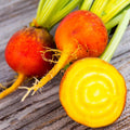 Golden Beet Seeds - Yellow Beets for 2025 Planting - Orange Beetroot 'Gold Sunset' (Beta vulgaris)