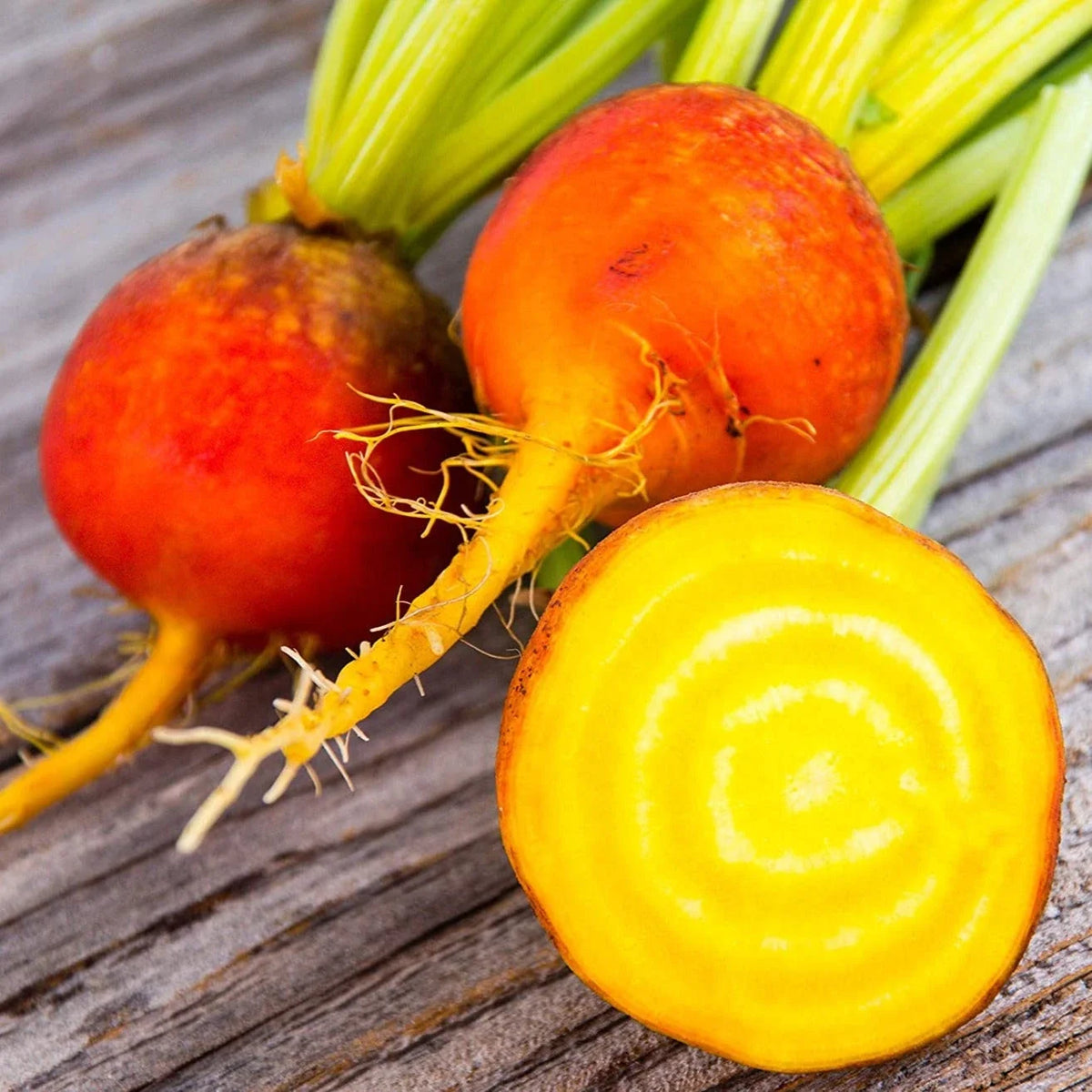 Golden Beet Seeds - Yellow Beets for 2025 Planting - Orange Beetroot 'Gold Sunset' (Beta vulgaris)
