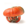 Turks Turban Squash Seeds - 25+ Pack for Garden Planting - Cucurbita maxima - USA Grown, Free Shipping