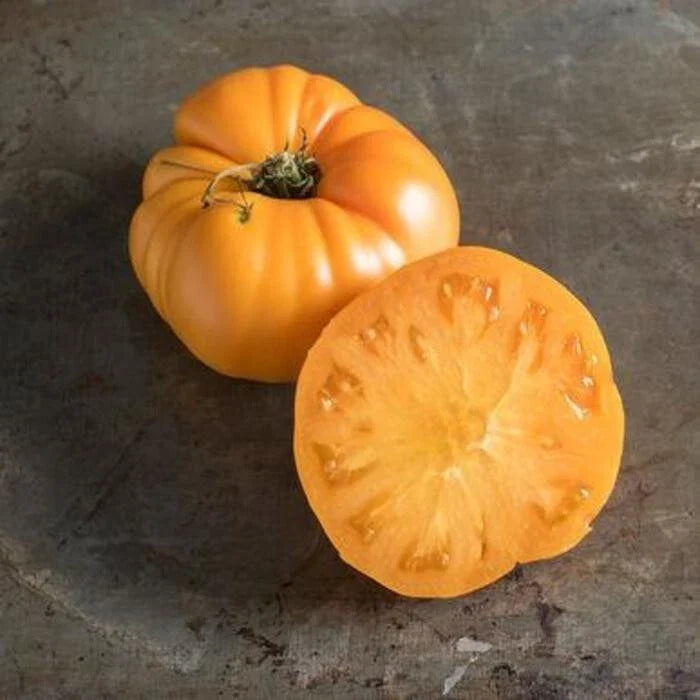 Yellow Brandywine Tomato Seeds - Heirloom - Organic - Non-GMO - 10+ Seeds - Fresh, Delicious Variety for Home Garden