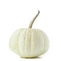 White Ghost Pumpkin Seeds - 25+ Count for Garden Planting - Cucurbita pepo - USA Grown, Non-GMO
