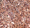 No-Till Cover Crop Seed Mix - 10 Varieties - Winter Rye, White Clover, Austrian Winter Peas - Sustainable Agriculture