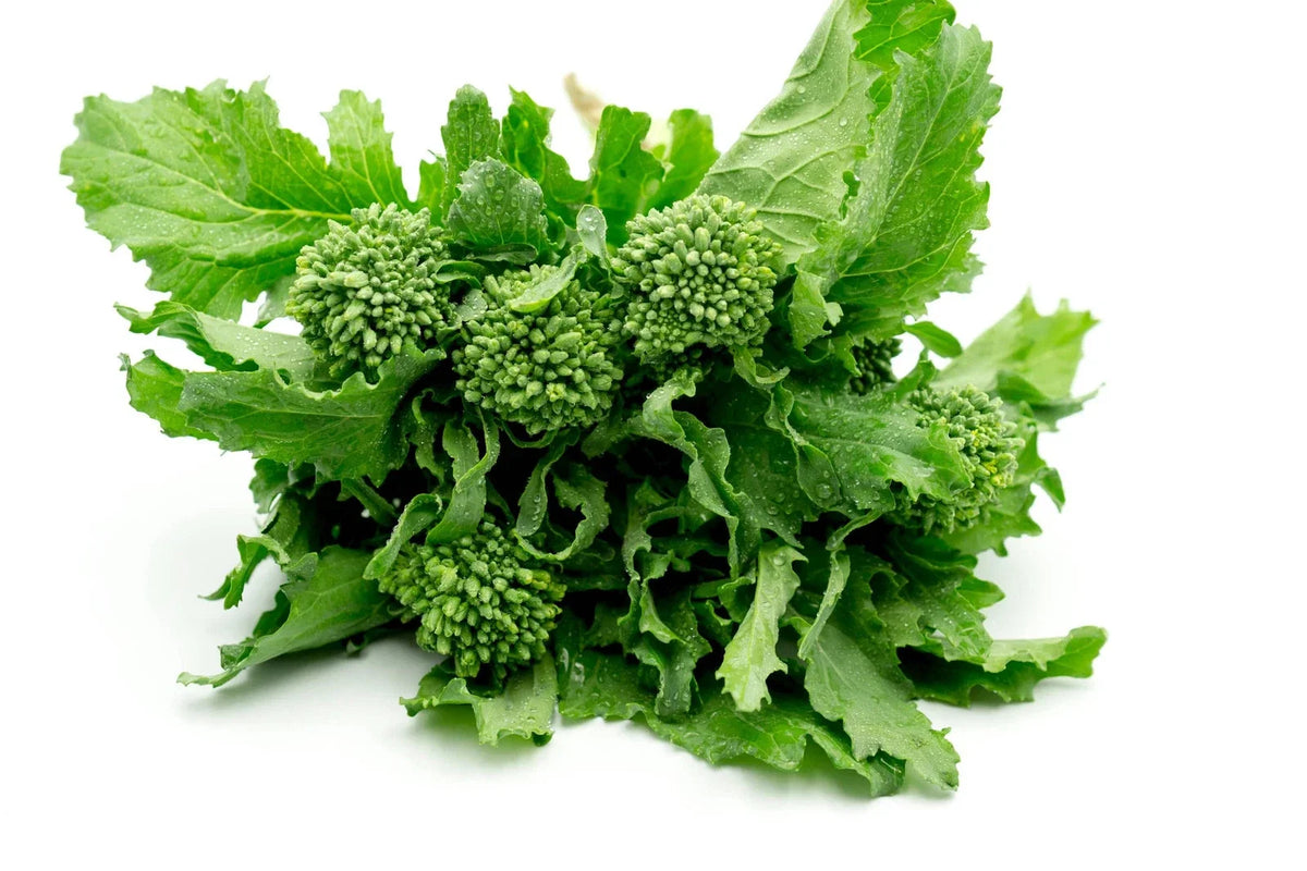 Broccoli Raab Seeds Non-GMO | Flowering Brassica Seeds | Heirloom Variety | Brassica rapa