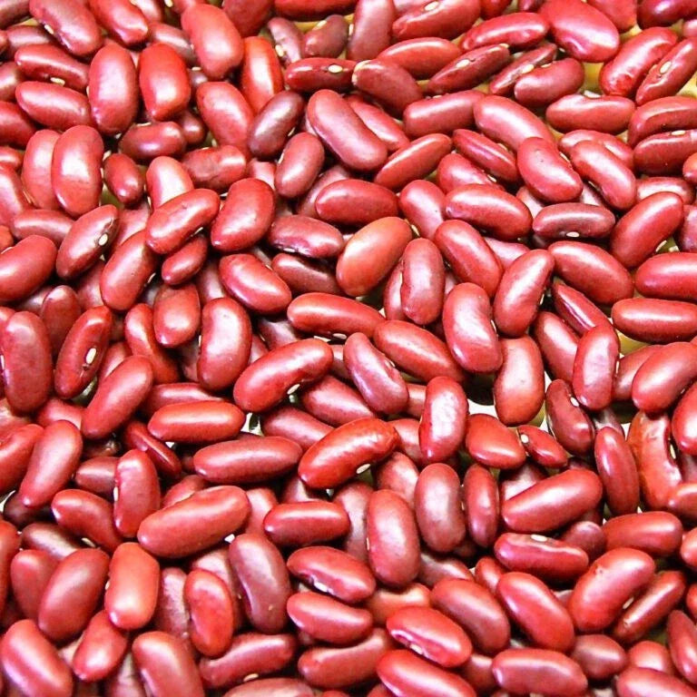 Kidney Bean Seeds Set of 100+ | Phaseolus vulgaris | Non-GMO Garden Seeds for Planting
