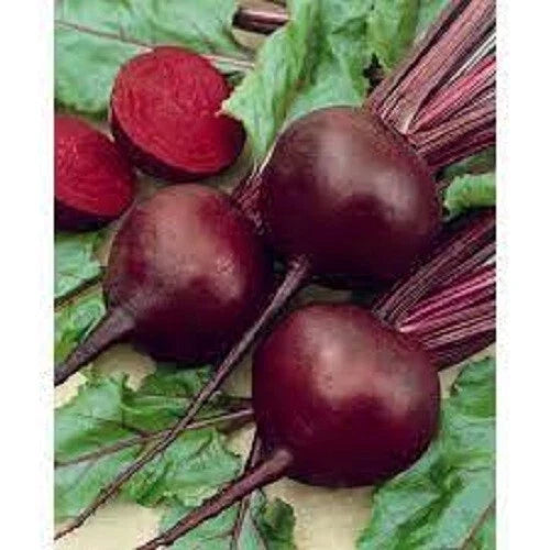 Premium Detroit Red Beet Seeds - Organic Heirloom Vegetable Seeds - Popular Variety for Home Gardening