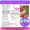 Mystery House Plant Cuttings Set of 6 - Indoor Plant Variety for Home Decor - Ideal for Plant Lovers