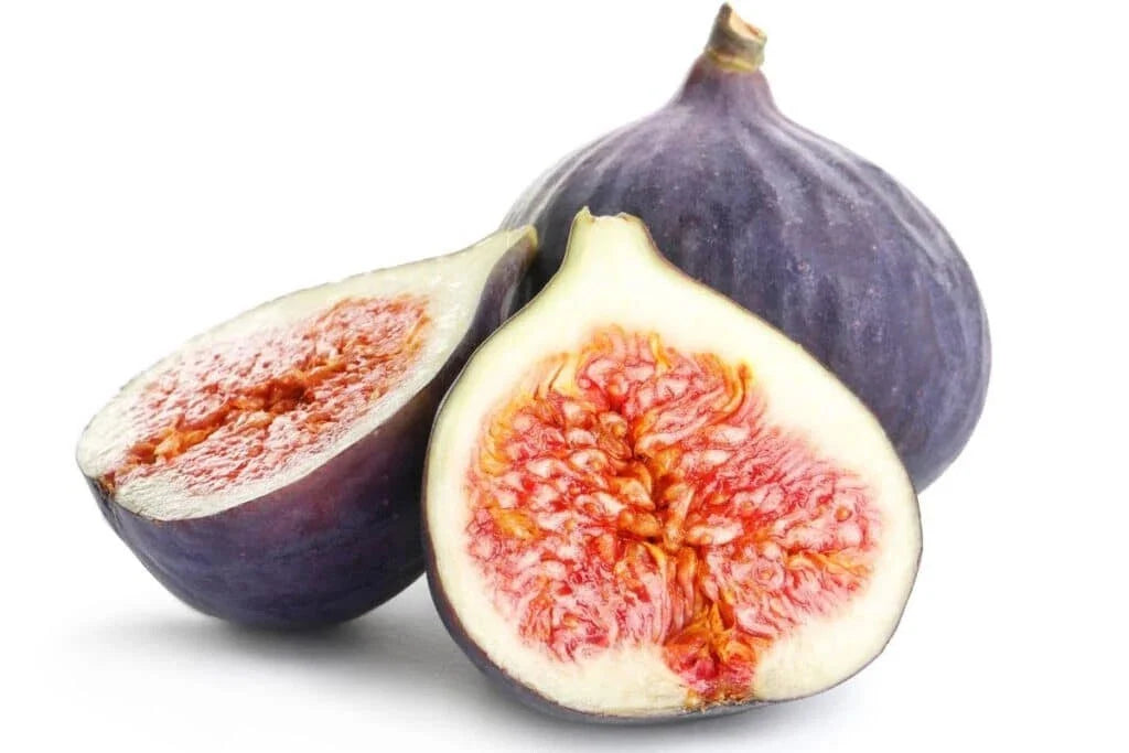 Portuguese Fig Seeds - 100+ Count - Roxo Variety - Ficus carica - Perfect for Garden Planting, USA, Free Shipping