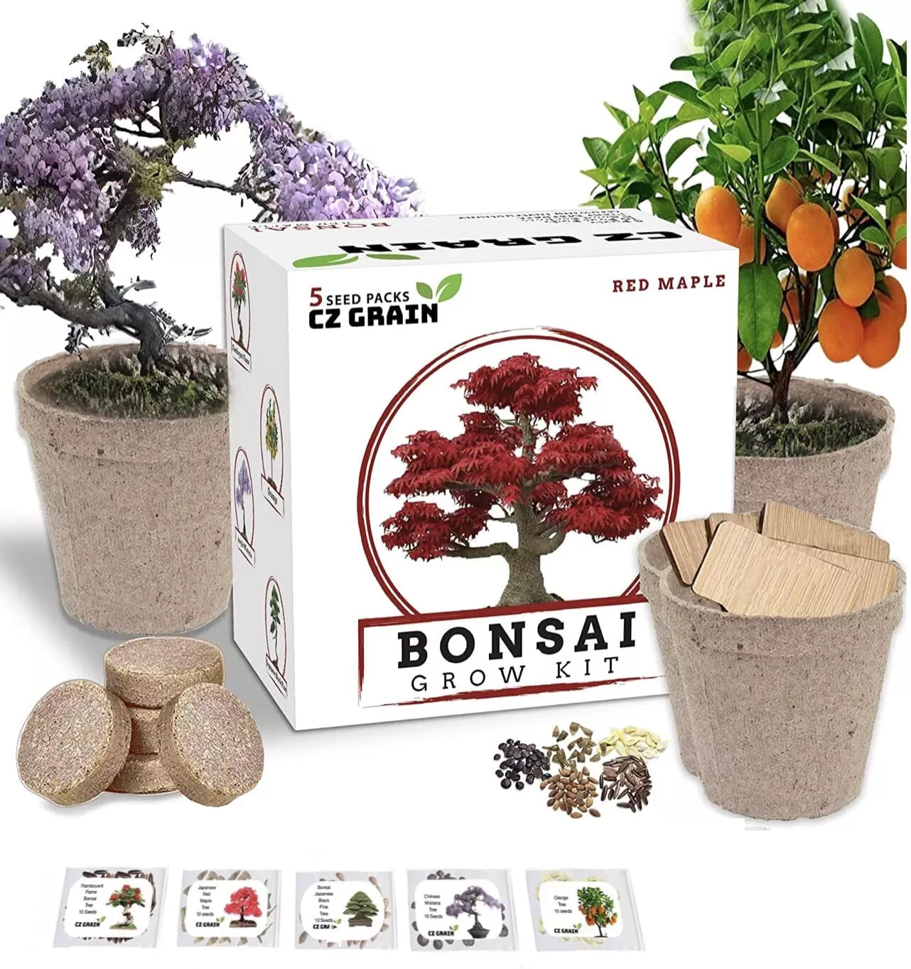Bonsai Tree Kit - 5 Species All-in-One Plant Kit - Grow Bonsai Trees (Ficus, Juniper, Pine, Maple, Elm)