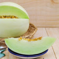 Honeydew Melon Seeds - 5 Pack - Sweet Variety - Cucumis melo - Free USA Shipping