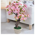 50+ Rare Cherry Blossom Seeds for Planting - Dwarf Pink Sakura Weeping Cherry (Prunus serrulata)