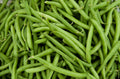 Contender Green Bean Seeds - Fresh Green Bean Seeds for Planting - Phaseolus vulgaris - Free Shipping