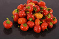 Pimento Red Pepper Seeds - 5000 Count - Capsicum annuum - Garden Vegetable Seeds for Planting, Non-GMO