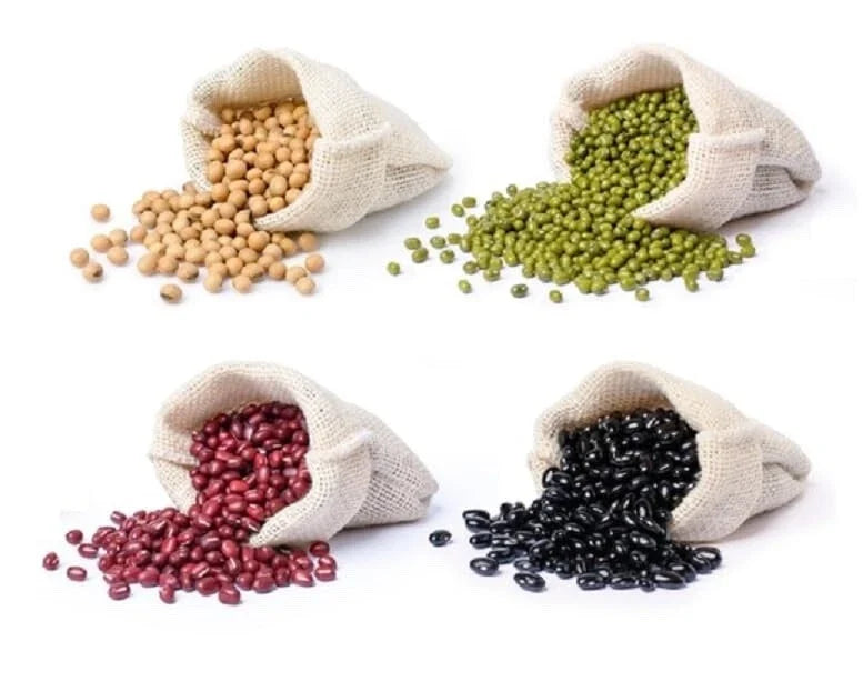 Bean Bundle 400 Seeds - Soybeans, Mung Beans, Adzuki Beans, Black Soybean - Glycine max, Vigna radiata, Vigna angularis
