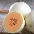 Orange Honeydew Melon Seeds | Heirloom Non-GMO | Organic Gardening | Cucumis melo