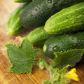 Cucumber Seeds - 100 Pack Long Green Improved Gourmet Non-GMO (Cucumis sativus) Free Shipping