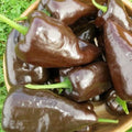 Mulato Isleno Pepper Seeds - 30+ Count - Chocolate Poblano Variety - Capsicum annuum - Free Shipping