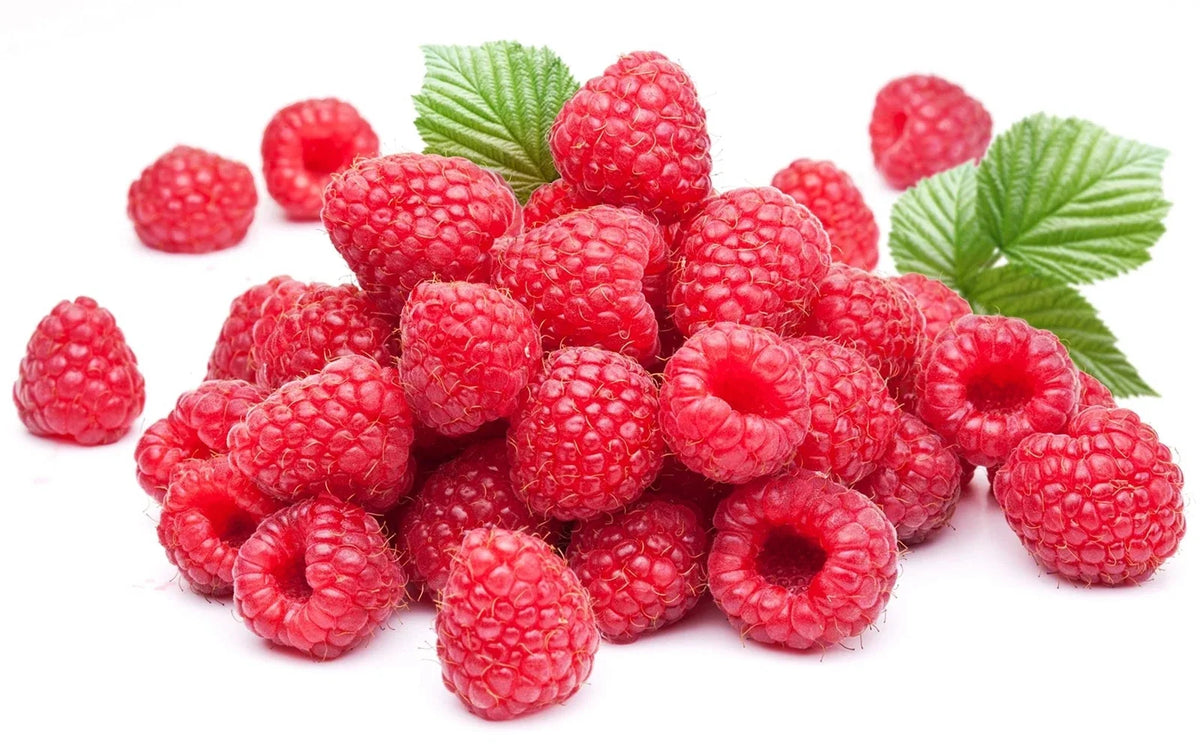 Red Raspberry Seeds - 200 Seeds - Delicious Variety - Rubus idaeus - Made in USA, Ships from Iowa