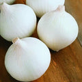 White Sweet Spanish Onion Seeds - Heirloom Non-GMO - Allium cepa - Vegetable Gardening