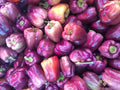 25+ Pink Bell Sweet Pepper Seeds - Heirloom Variety for Garden Planting - Capsicum annuum