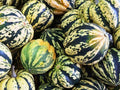 Carnival Squash Seeds - 25+ Pack - Heirloom Variety - Cucurbita pepo - Perfect for Garden Planting - USA