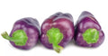 Purple Pepper Seeds - 100+ Seeds - Versatile Capsicum annuum for Eating and Seasoning